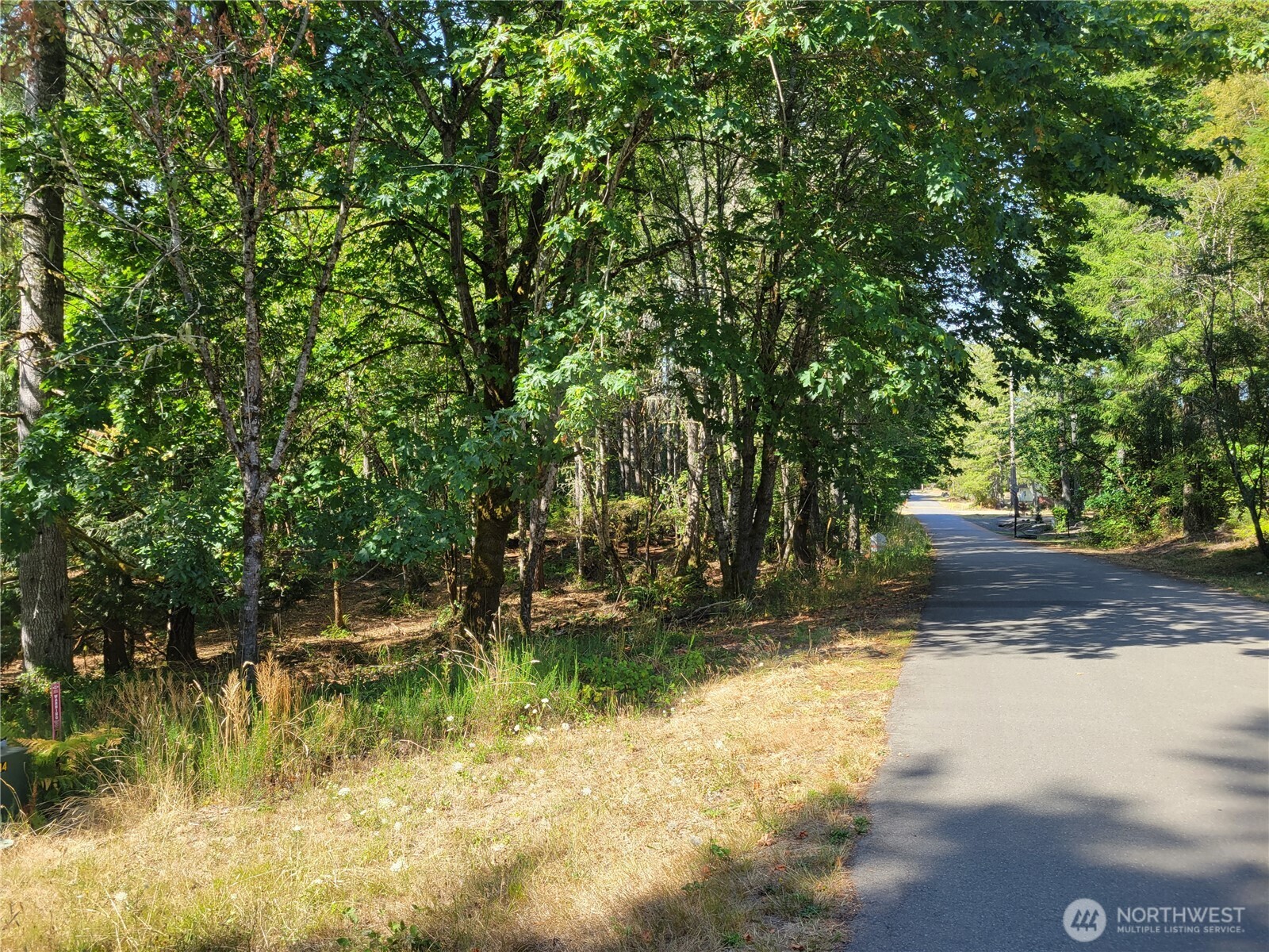 900 East Wilson Way Grapeview, WA 98546 - Photo 2 of 24 a view of swimming pool with a yard