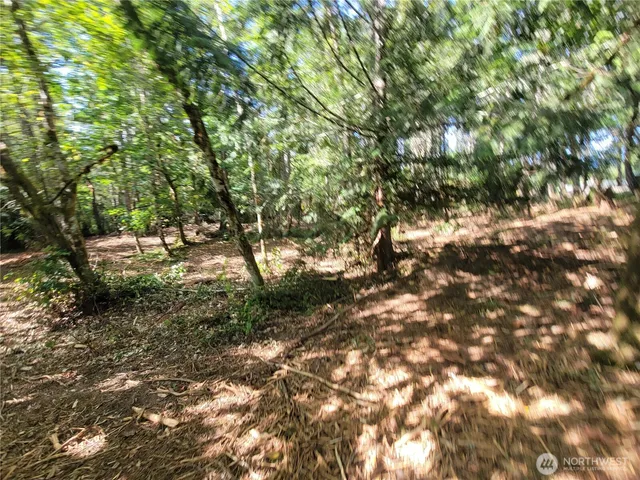 a view of outdoor space and trees