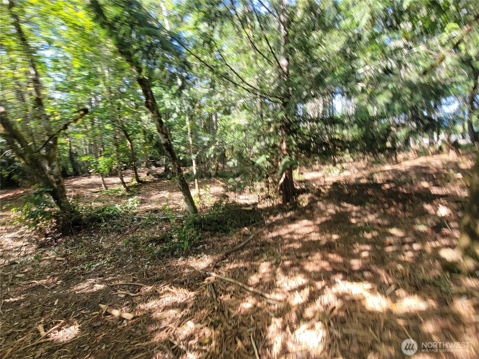 900 East Wilson Way Grapeview, WA 98546 - Photo 21 of 24