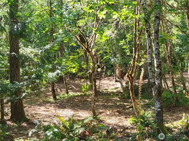 $99,000 | 900 East Wilson Way, Grapeview, WA 98546