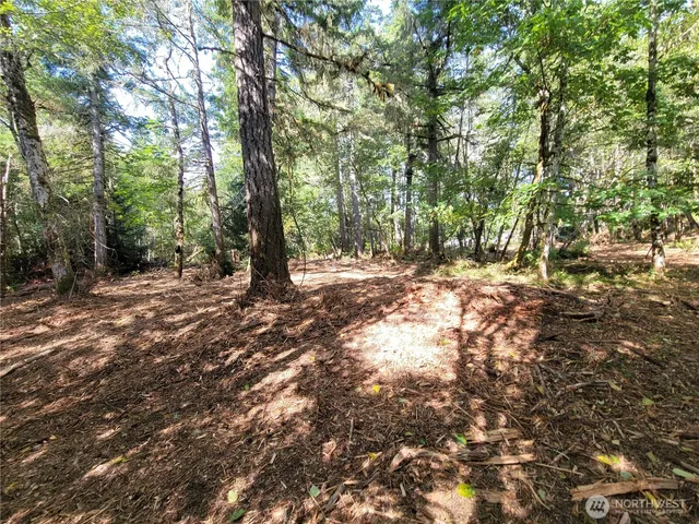 a view of outdoor space with trees