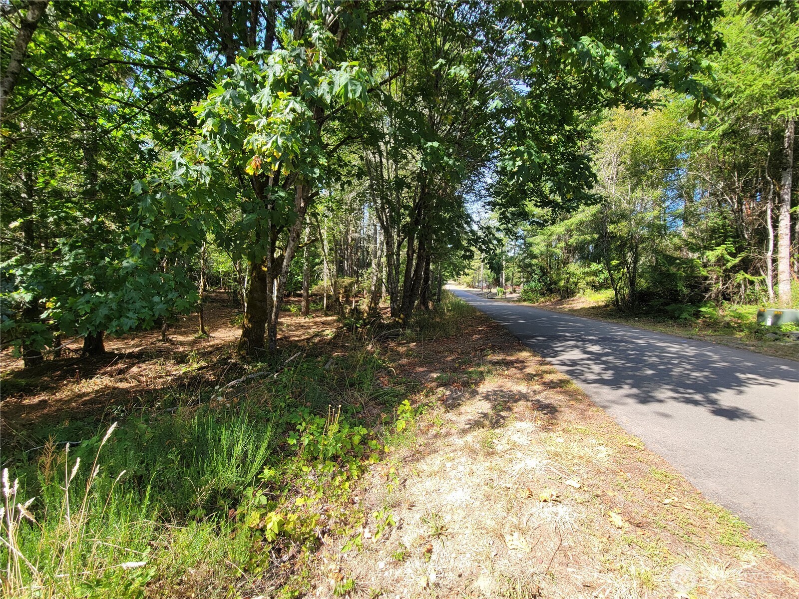 900 East Wilson Way Grapeview, WA 98546 - Photo 10 of 24 a view of backyard with green space