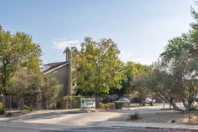 a street view with large trees