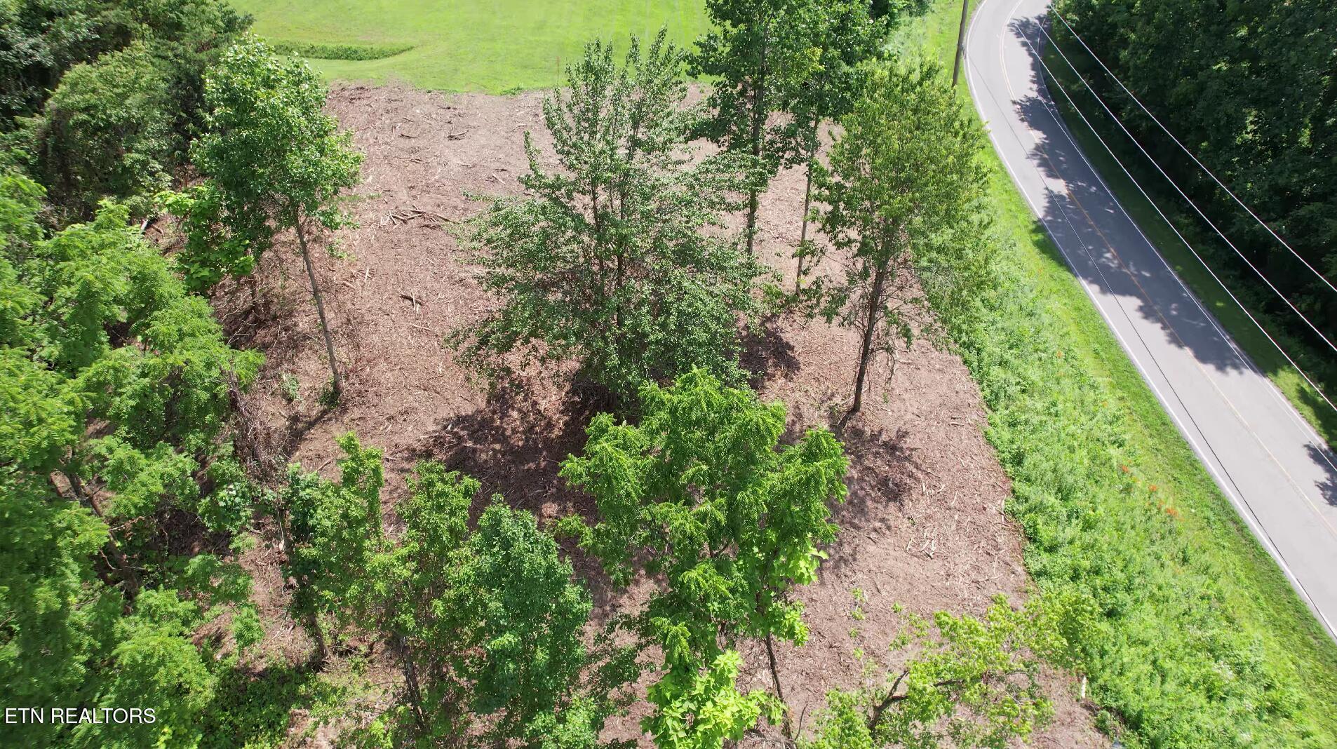 Grantsboro Road La Follette, TN 37766 - Photo 20 of 48 Grantsboro land