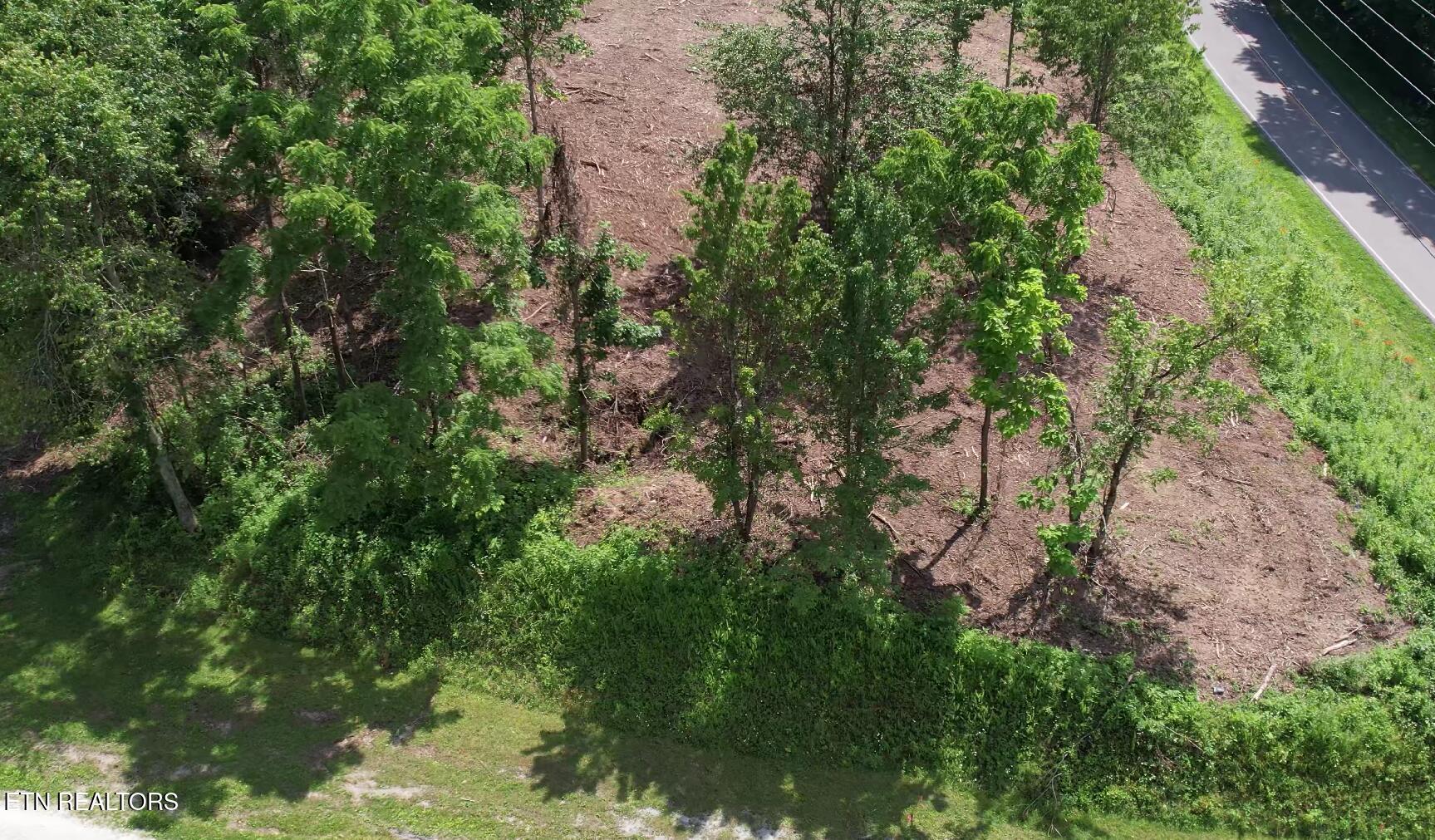 Grantsboro Road La Follette, TN 37766 - Photo 22 of 48 Grantsboro land