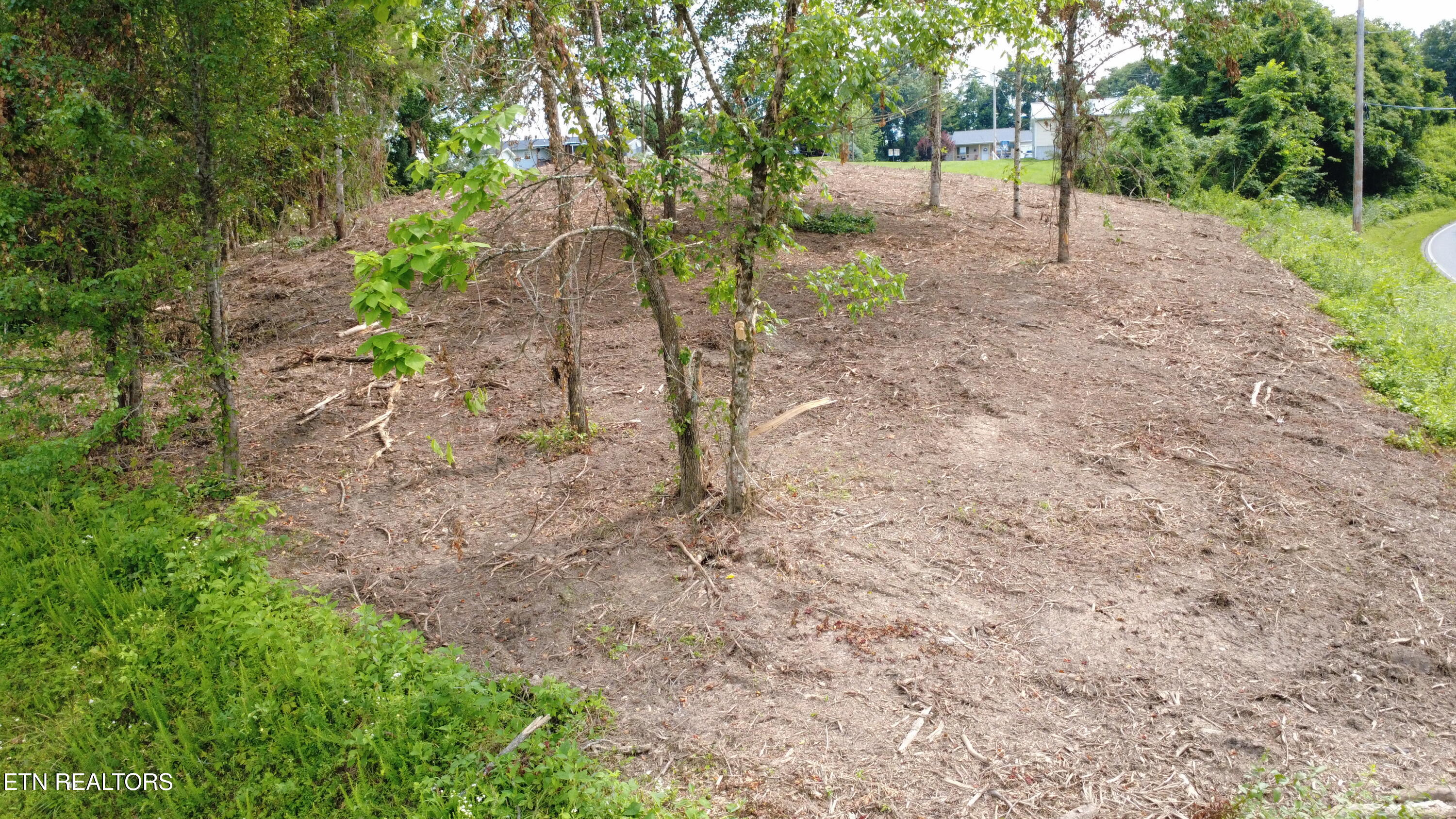 Grantsboro Road La Follette, TN 37766 - Photo 27 of 48 Grantsboro land