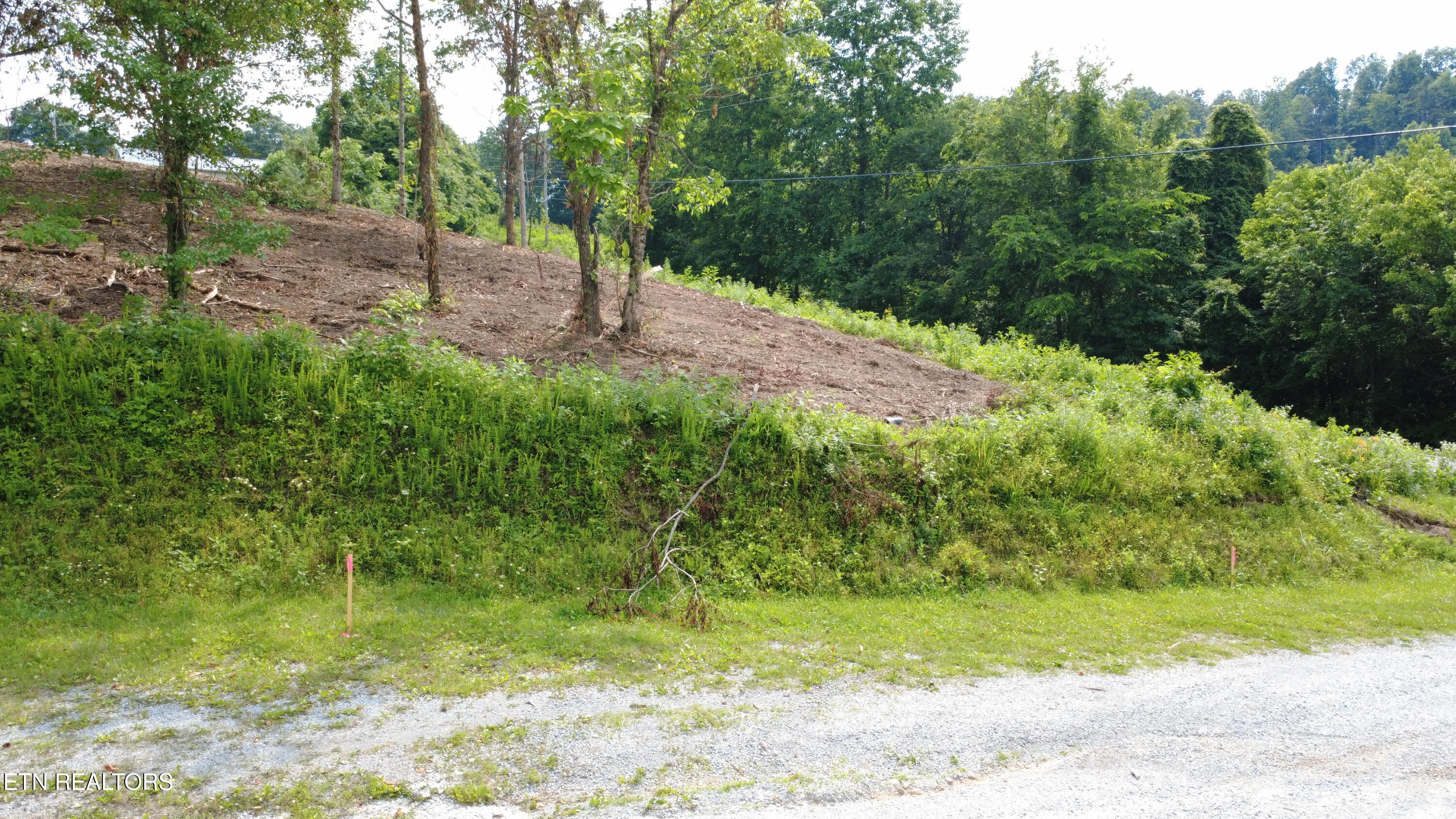 Grantsboro Road La Follette, TN 37766 - Photo 29 of 48 Grantsboro land