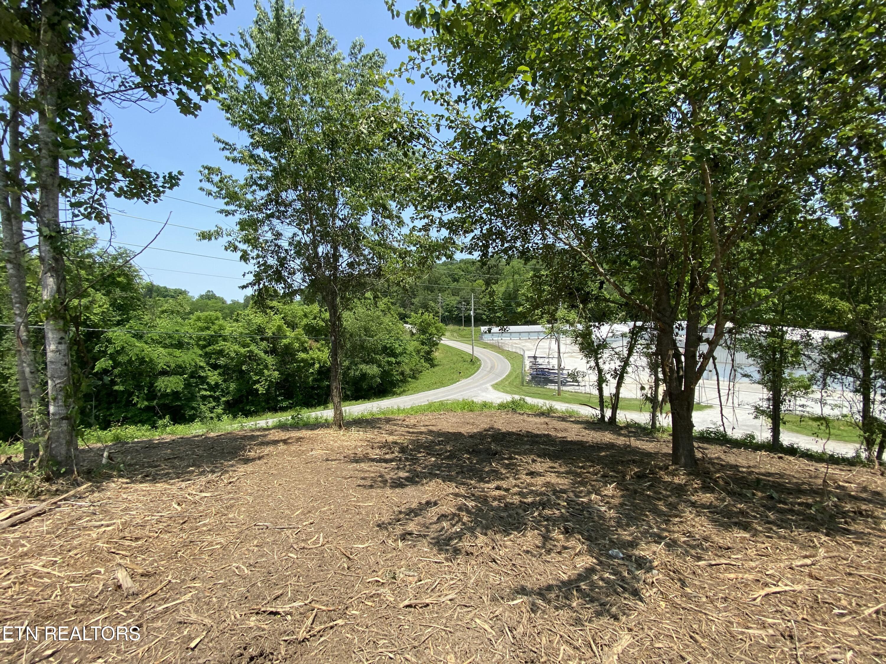 Grantsboro Road La Follette, TN 37766 - Photo 34 of 48 Grantsboro land