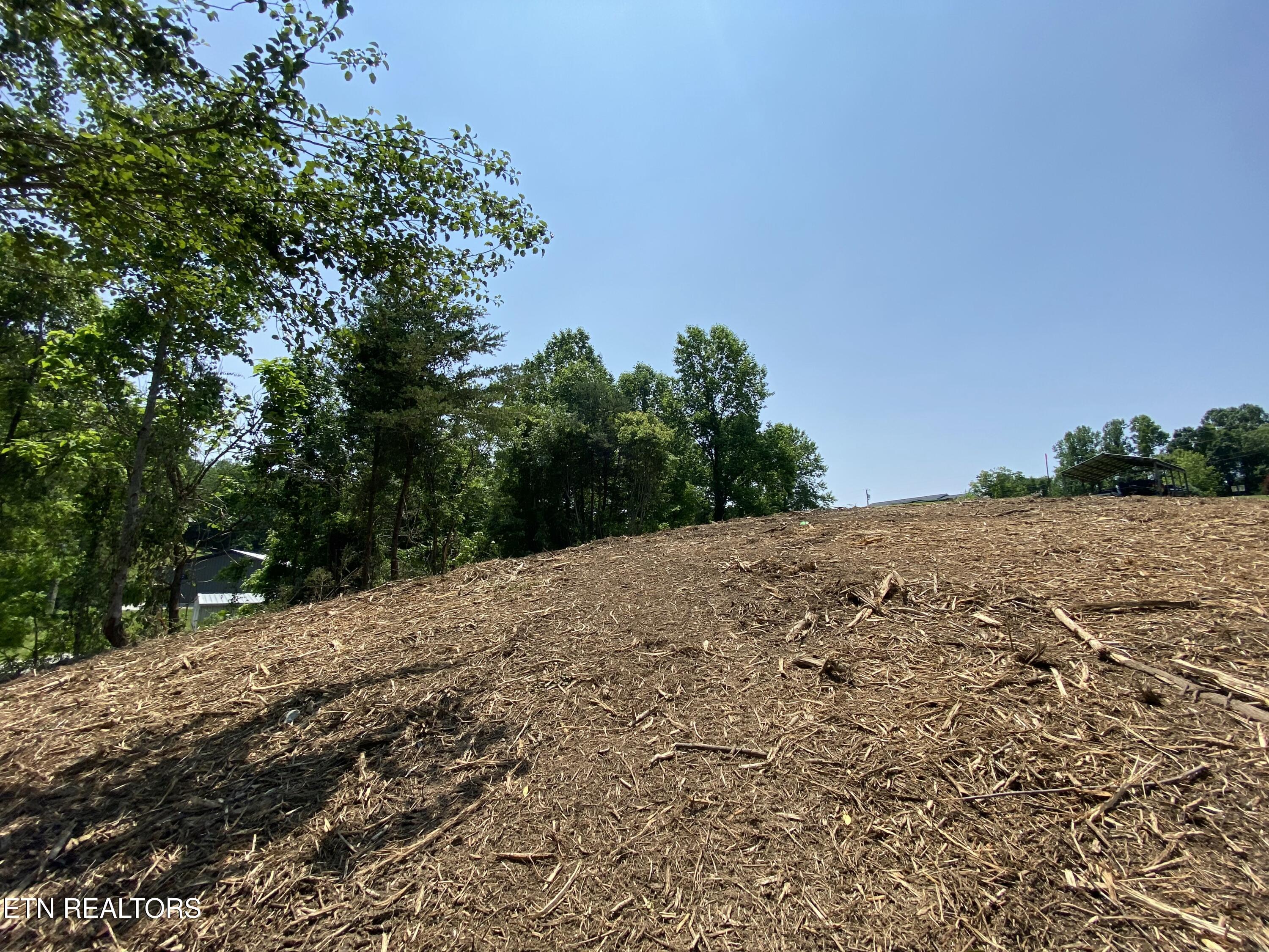 Grantsboro Road La Follette, TN 37766 - Photo 36 of 48 Grantsboro land
