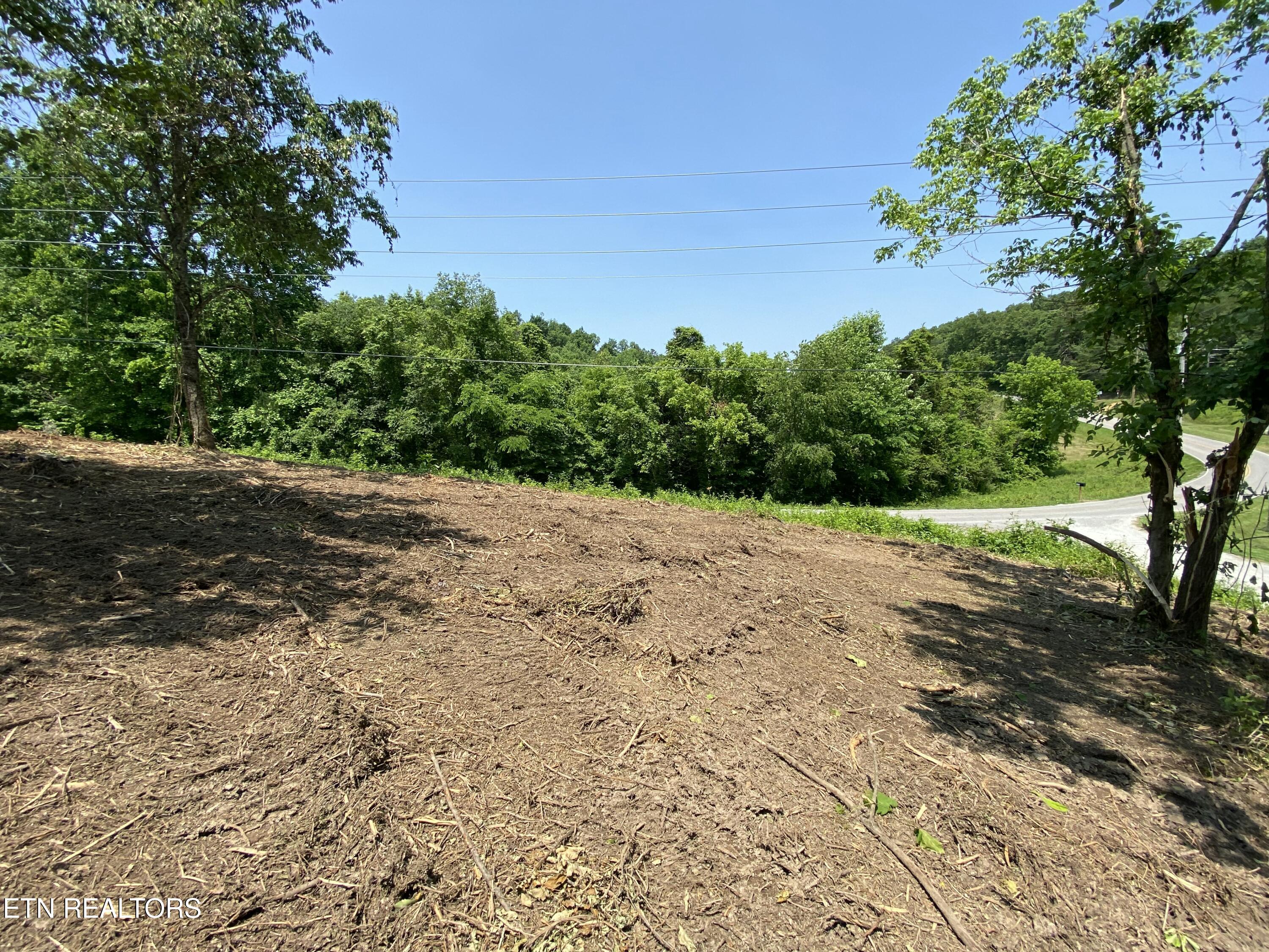 Grantsboro Road La Follette, TN 37766 - Photo 38 of 48 Grantsboro land