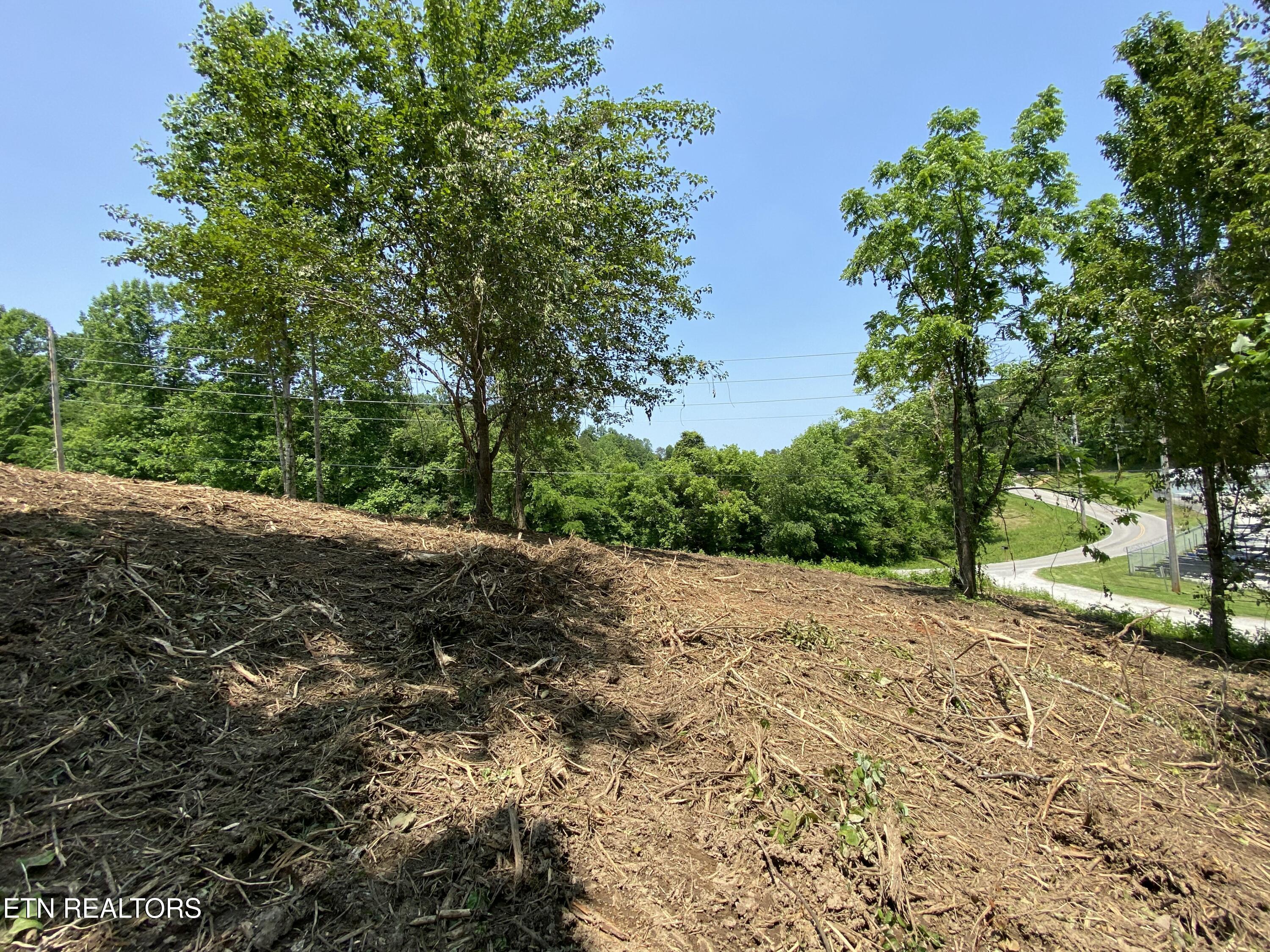 Grantsboro Road La Follette, TN 37766 - Photo 39 of 48 Grantsboro land