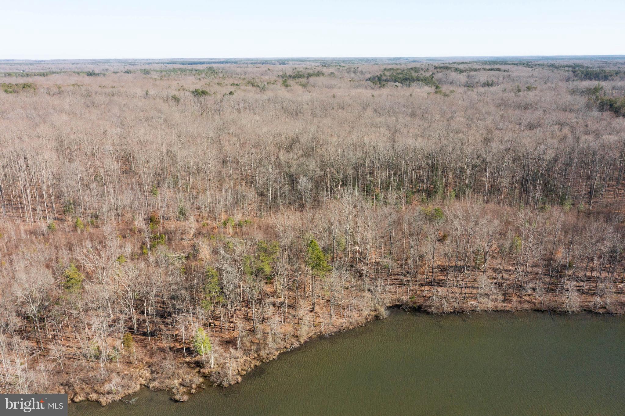 0 Lewiston Road Bumpass, VA 23024 - Photo 6 of 10 Additional view Lot 1