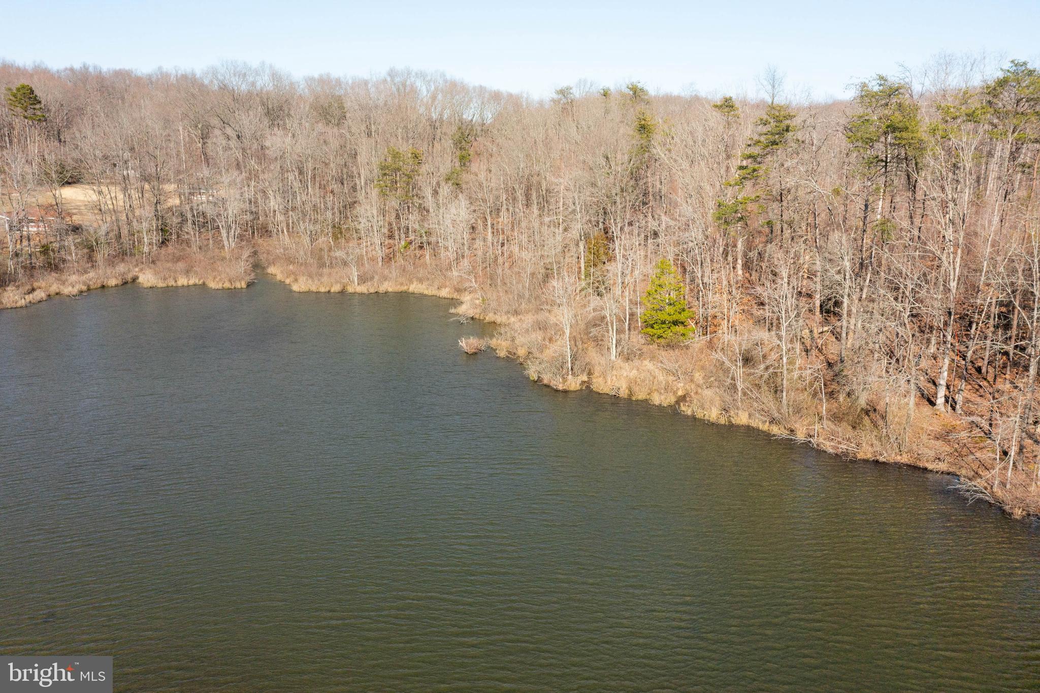 0 Lewiston Road Bumpass, VA 23024 - Photo 9 of 10