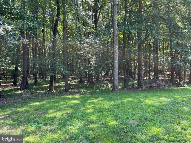 a green field with lots of trees
