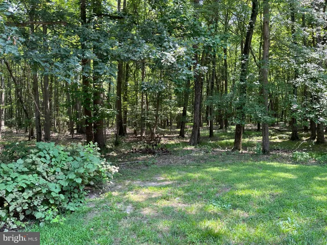 a view of outdoor space and green space