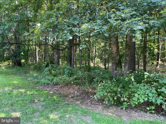a view of a field with trees in the background
