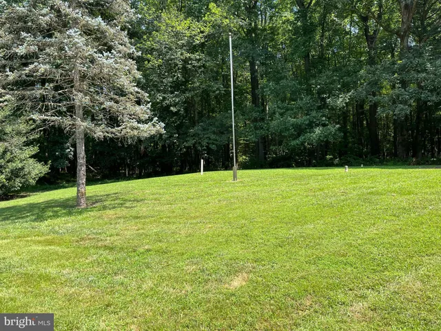 a view of a big yard