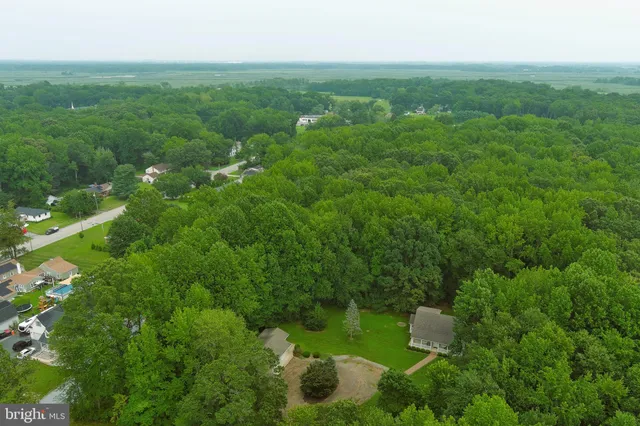 a view of a green field with lots of bushes