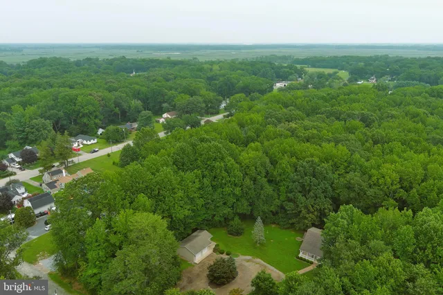 a view of a lush green space with sea