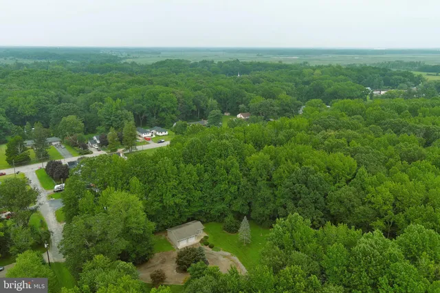 a view of a green yard with large trees