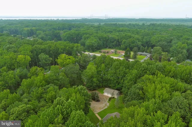 a view of a green field with lots of bushes