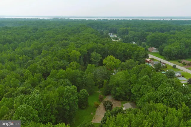 an aerial view of a house with outdoor space and trees all around