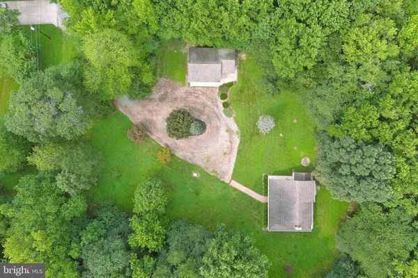 a picture of street view with a yard