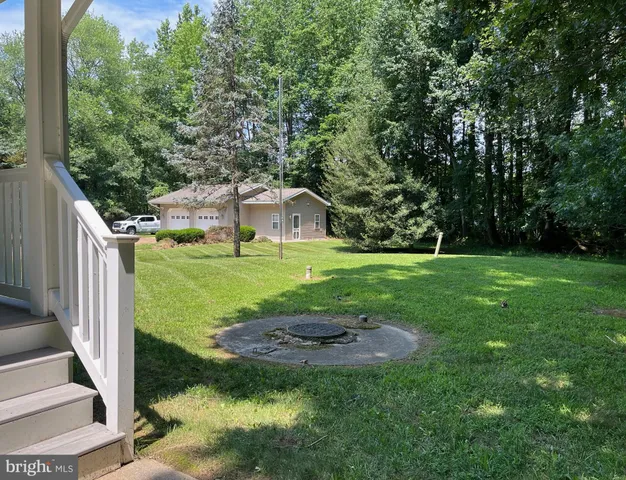 a view of a backyard with large trees