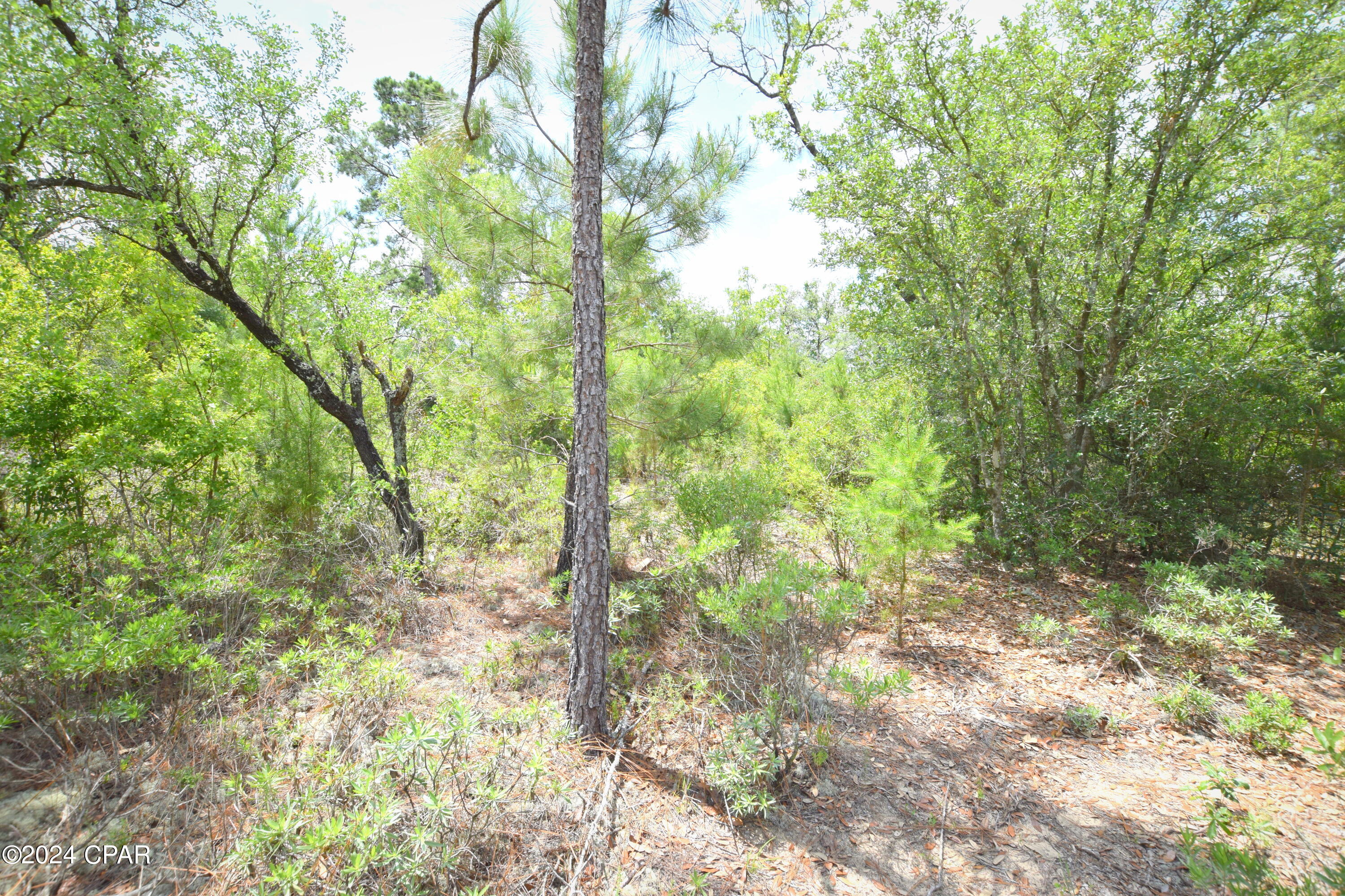 Tbd Tbd Drive Chipley, FL 32428 - Photo 3 of 4