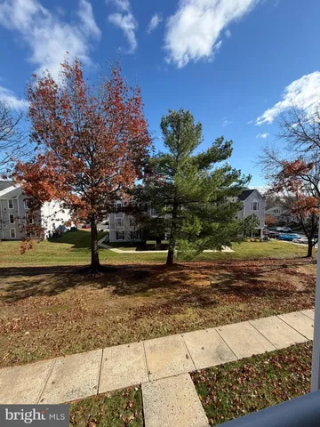 a view of a yard with large trees