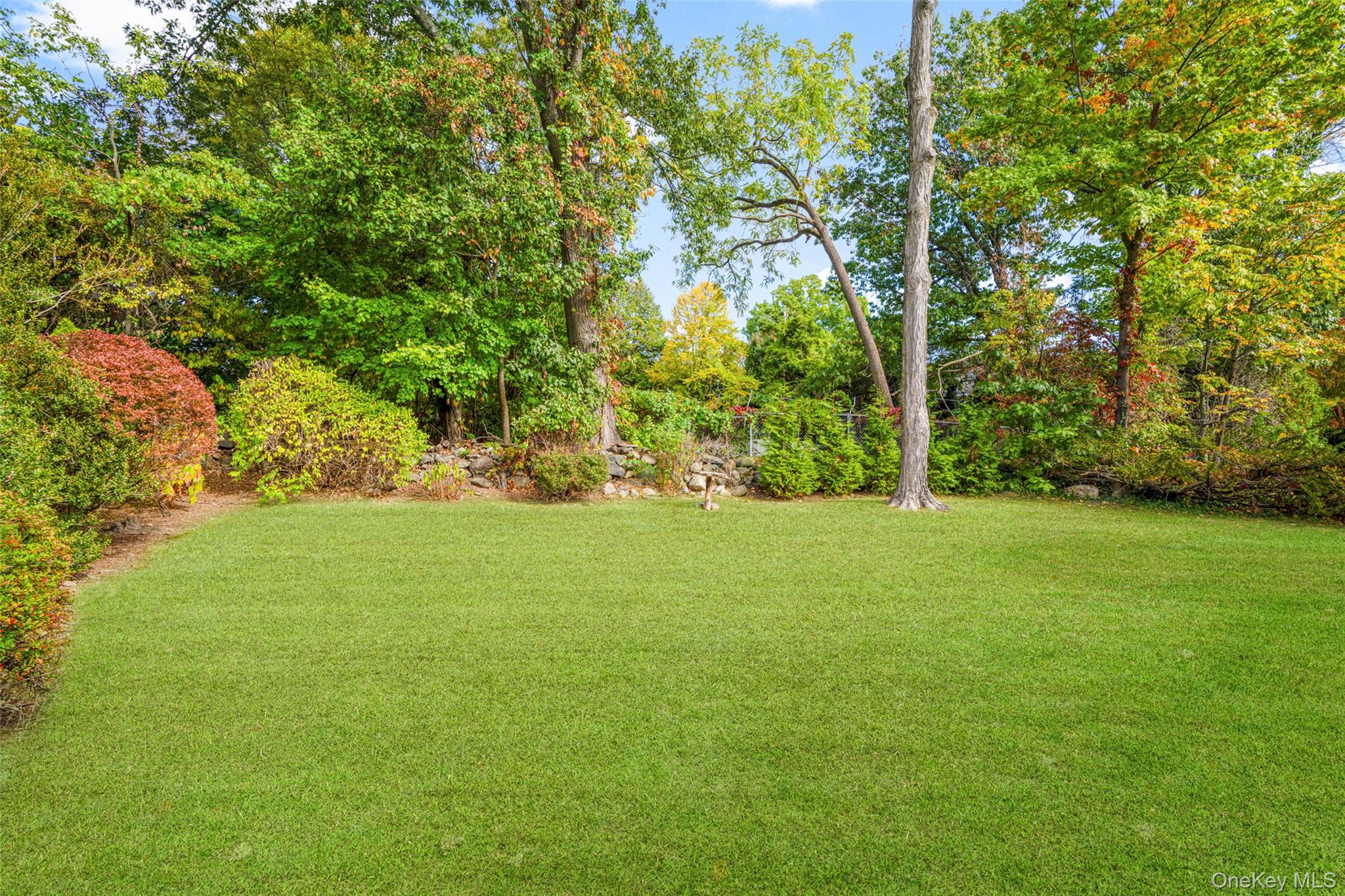 151 Hilburn Road Scarsdale, NY 10583 - Photo 34 of 40 a view of yard with green space