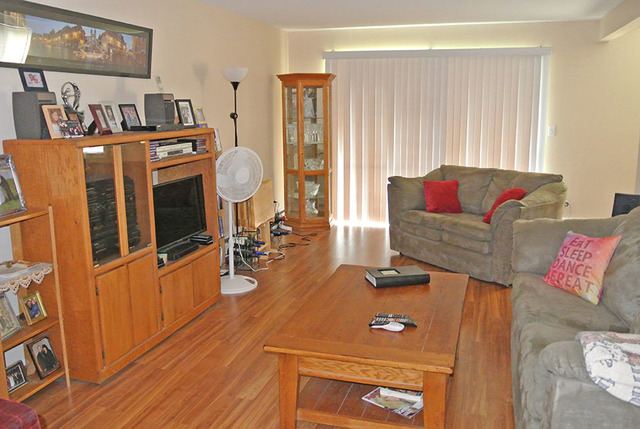 920 Ridge Square, Unit 113 Elk Grove Village, IL 60007 - Photo 2 of 12