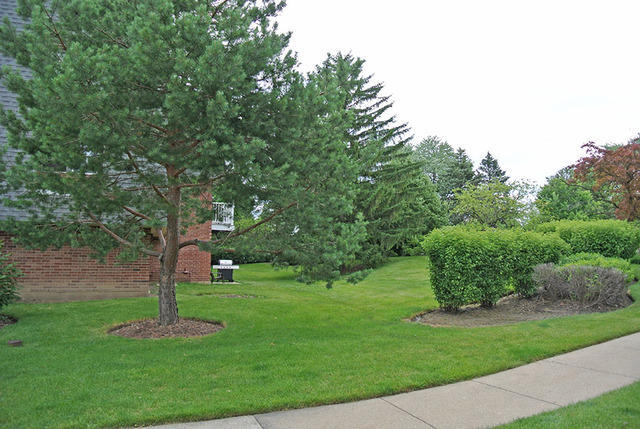 920 Ridge Square, Unit 113 Elk Grove Village, IL 60007 - Photo 12 of 12