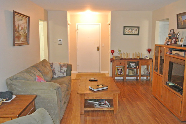 920 Ridge Square, Unit 113 Elk Grove Village, IL 60007 - Photo 3 of 12