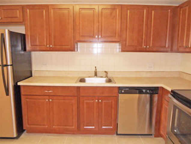 920 Ridge Square, Unit 113 Elk Grove Village, IL 60007 - Photo 4 of 12