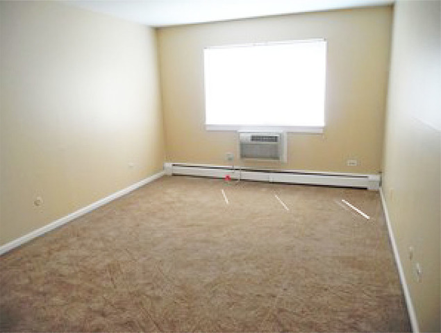 920 Ridge Square, Unit 113 Elk Grove Village, IL 60007 - Photo 7 of 12