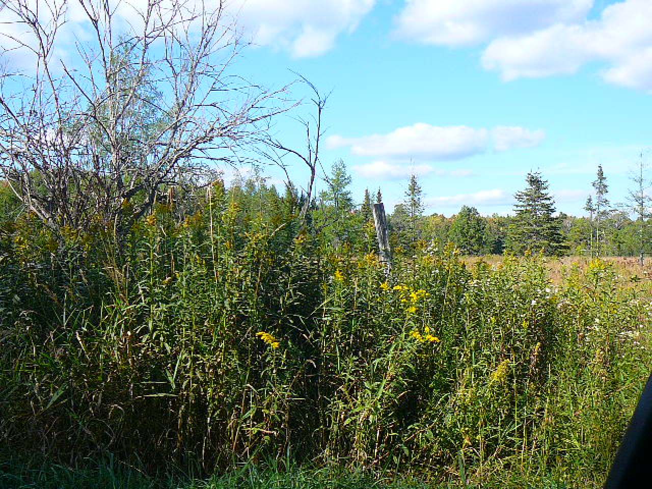 W2778 Trappers Road Phillips, WI 54555 - Photo 21 of 22 Gallery Image 21