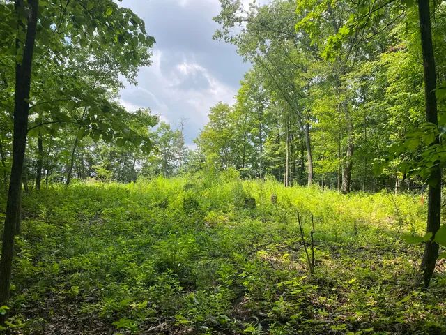 $174,000 | Lt7-8 Lucille Lane, Butler, WI 53007