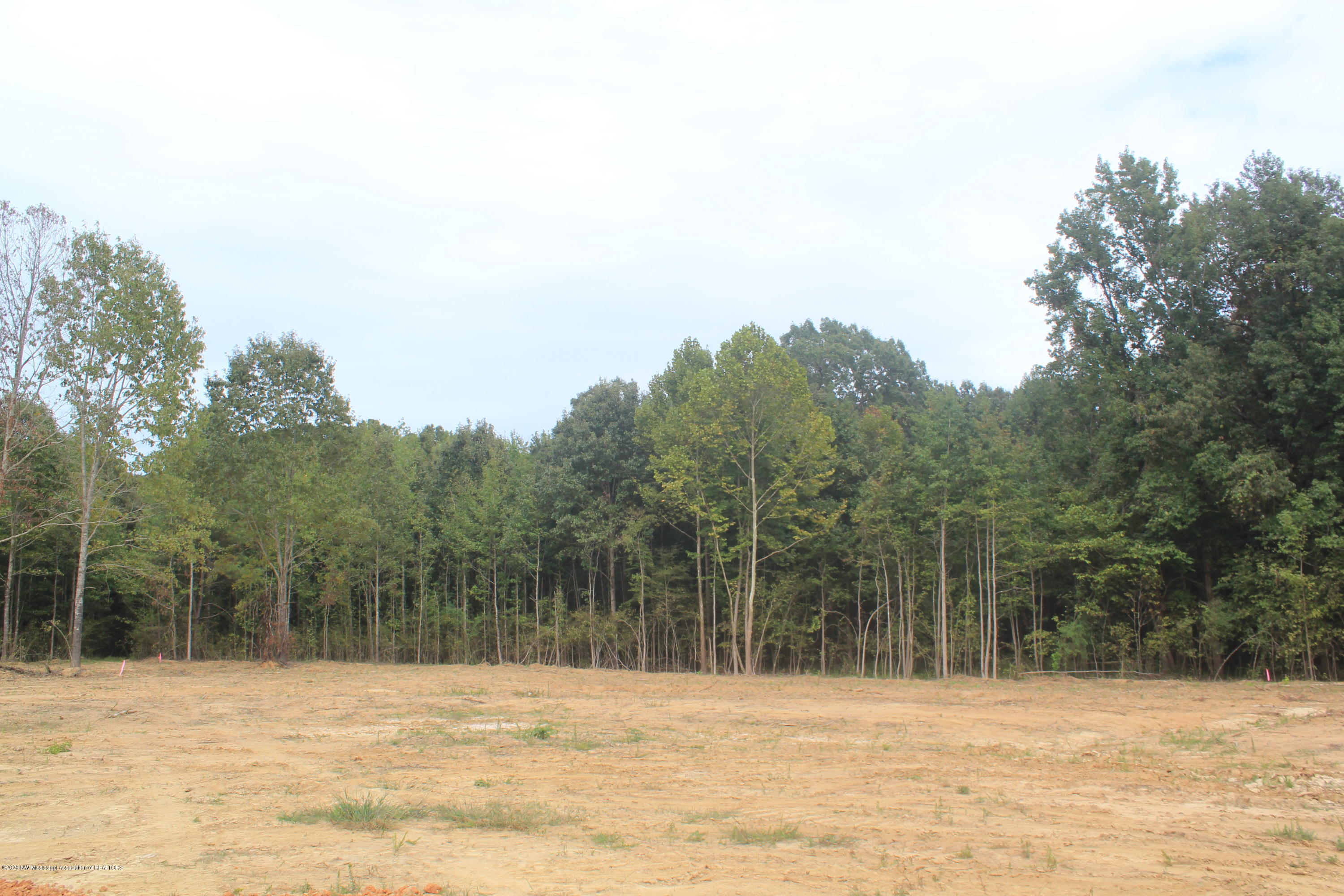 67 Hayward Road Byhalia, MS 38611 - Photo 13 of 28 IMG_4809