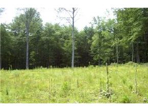 157 Oak Hill Road Concord, NH 03301 - Photo 2 of 7