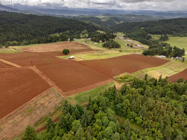 a view of a lake with a mountain