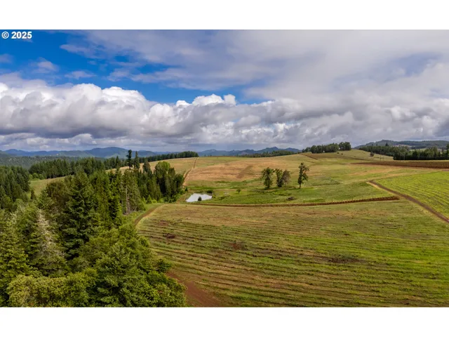 a view of an ocean and beach