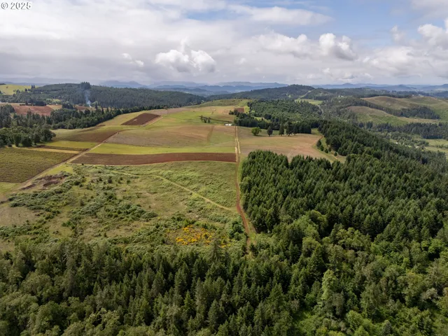 a view of an ocean and a mountain