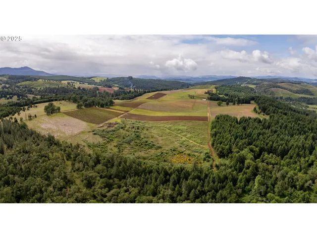 a view of an ocean and mountain