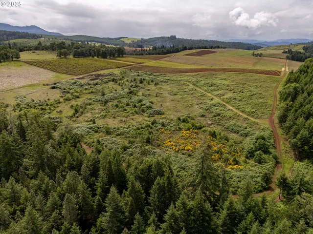 a view of an ocean and beach