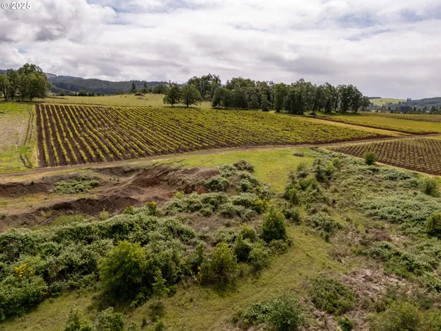a view of an ocean and beach