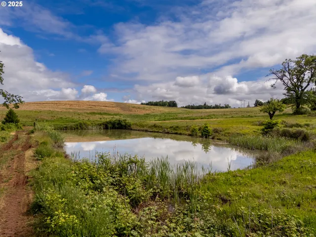a view of an ocean and beach