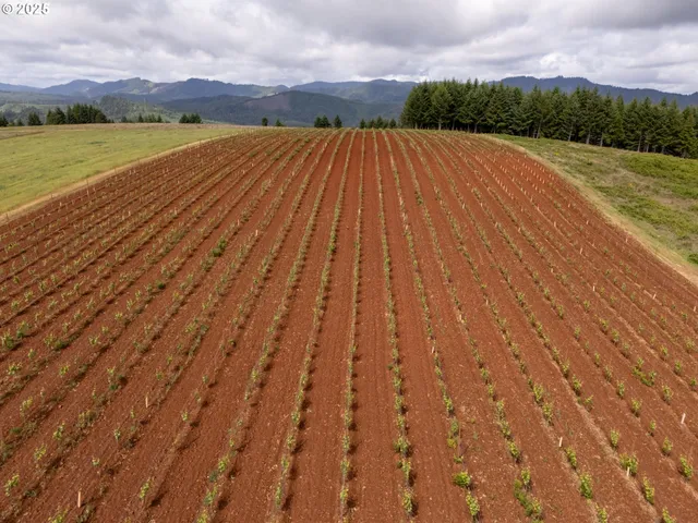 a view of swimming pool with outdoor seating