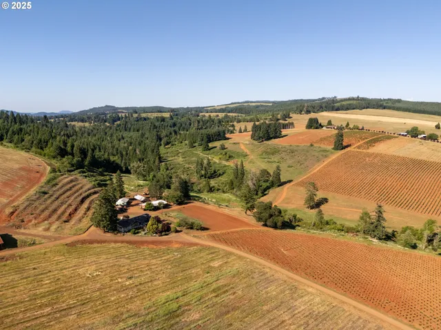 a view of swimming pool with furniture