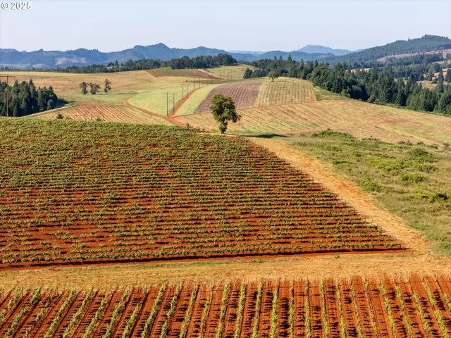 a view of ocean with mountain